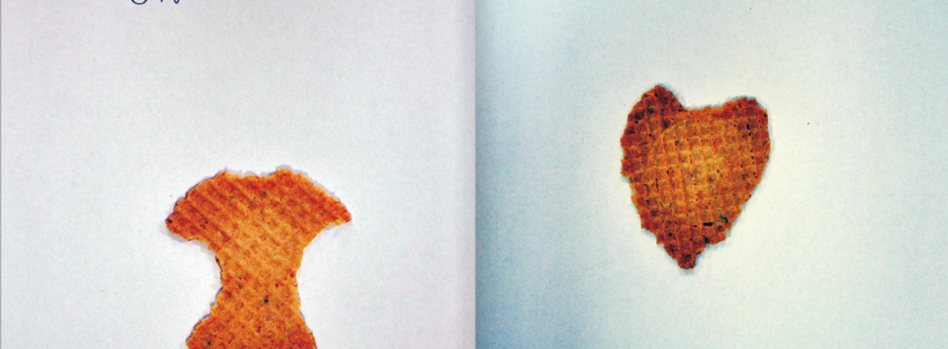 Betűfalók 2015 ÁLMELLÉKLET_fanzine