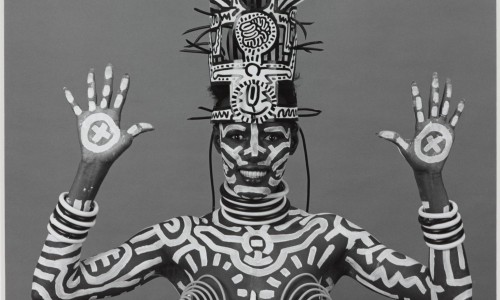 ARTIST ROOMS: Robert Mapplethorpe – County Durham – The Bowes Museum: Display