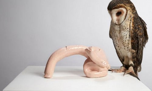 The 20th Biennale of Sydney 18 March – 5 June 2016