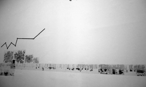 Lia Perjovschi Timeline with Witnesses