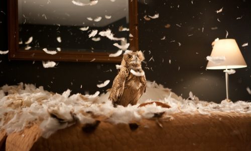 Doug Aitken: Electric Earth – The Museum of Contemporary Art Los Angeles