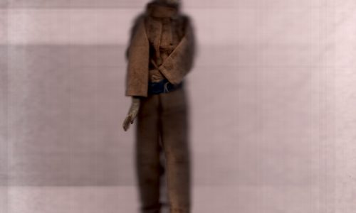 Ann Hamilton: habitus