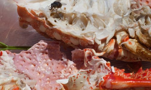 TATE MODERN EXHIBITION – WOLFGANG TILLMANS: 2017