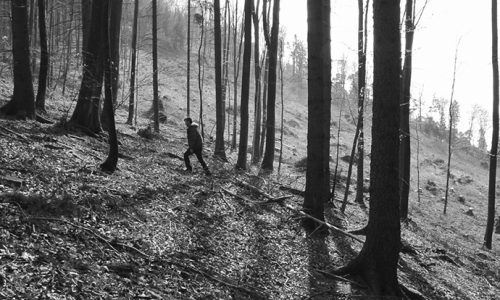 FLEETING TERRITORIES