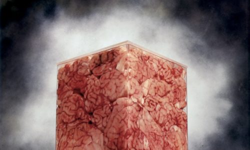 Andres Serrano: An American Perspective – Nov 05, 2017-Feb 25, 2018