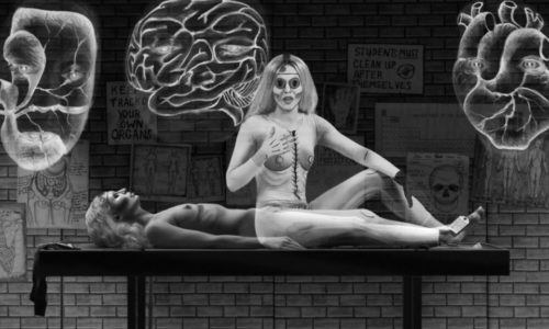 Blind Faith: Between the Visceral and the Cognitive in Contemporary Art