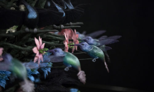 Mat Collishaw – Sat 24th March 2018 to Sun 30th September 2018 – Exhibition