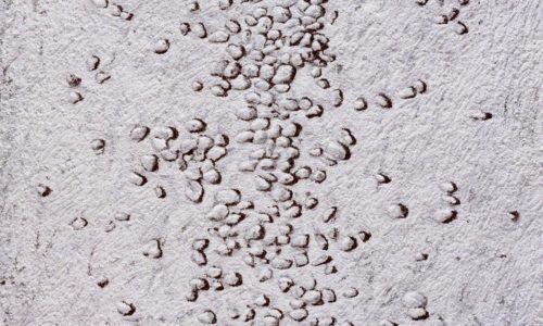 DARKROOM : A GROUP SHOW – HONG KONG – 27 JUL – 15 SEP 2018