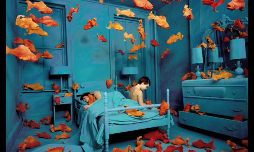 Sandy Skoglund. Visioni Ibride / 24 Jan – 24 March 2019