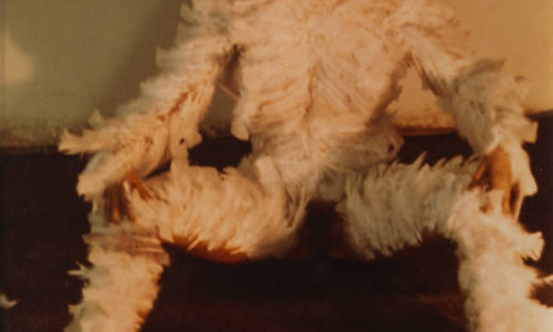 WILDERNESS / 1 NOVEMBER 2018 – 3 FEBRUARY 2019