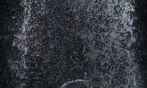 Bill Viola / Michelangelo. Life Death Rebirth. 26 January — 31 March 2019