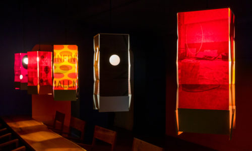 untitled 2019 (the form of the flower is unknown to the seed) 7 June 2019 – 6 June 2020