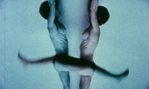 JSC ON VIEW: LUTZ BACHER, BARBARA HAMMER, CAROLEE SCHNEEMANN / WORKS FROM THE JULIA STOSCHEK COLLECTION / 21 JULY 2019 – 22 DECEMBER 2019