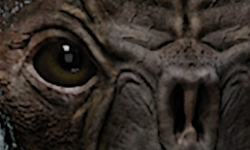 Our Future in the Desert / András Cséfalvay /  February 08 – March 22, 2020